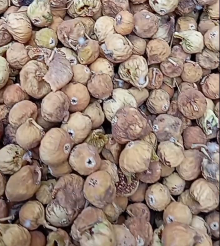 خرید انجیر خشک درجه دو یا سه قیمت فروش استثنایی